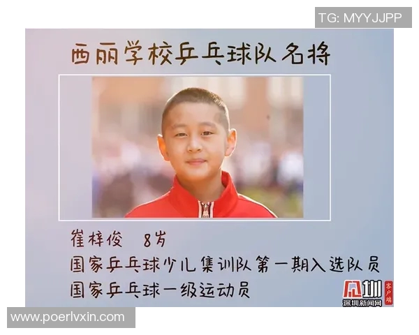 上海乒乓球队实力分析与表现评估:数据背后的故事与启示