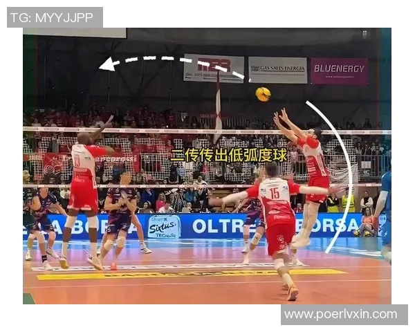 从零起步掌握排球战术全解析助你成为场上高手