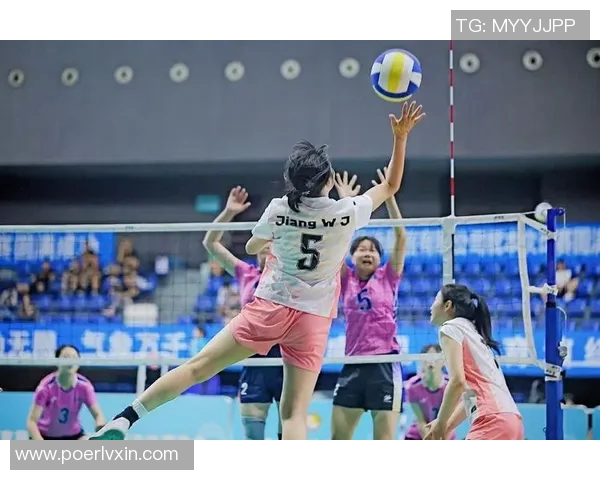 成都排球队实力引发热议球迷观点分歧引发讨论